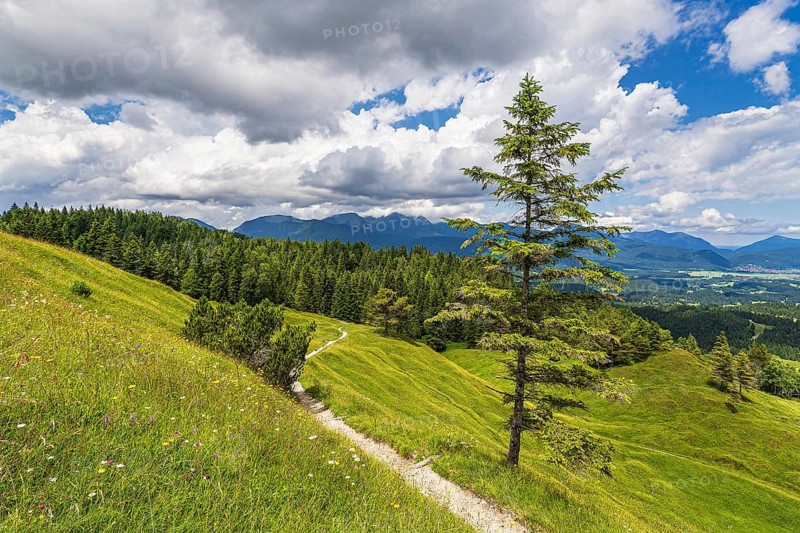 View from the Hoher Kranzberg to the Estergebirge near Mittenwald