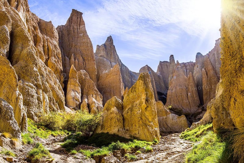 Grandiose natural land formations - Clay Cliffs. Jagged sharp pinnacles and ridges separated by narrow ravines. New Zealand, South Island. The concept of extreme, natural and photo tourism