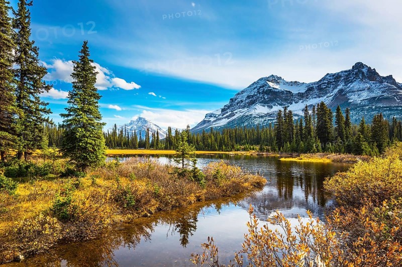Pine trees reflected in smooth water of the lake. Sunny day. Waterlogged valley in the snowy Rocky Mountains. The concept of ecotourism and active tourism