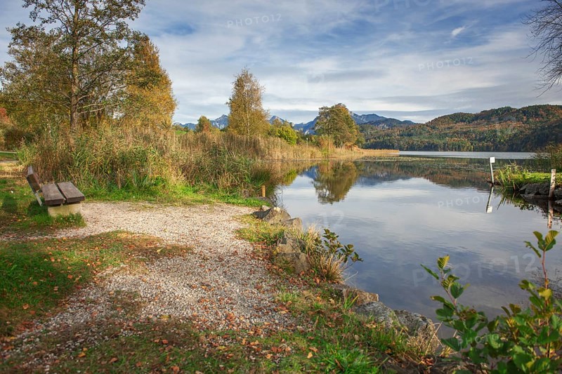 Wide-angle landscape view of Lake Weissensee with wooden bench on the left bank and the first foothills of the high Alps in the background, near the town of Füssen