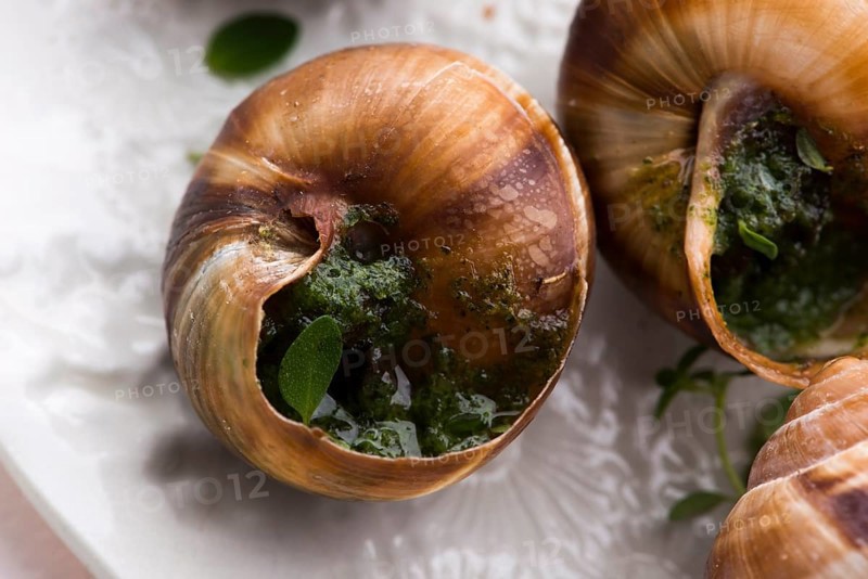 Escargot platter, delicious french delicatessen