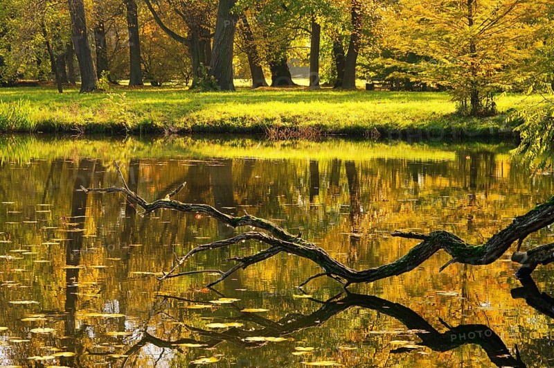 Wörlitz Park Lake