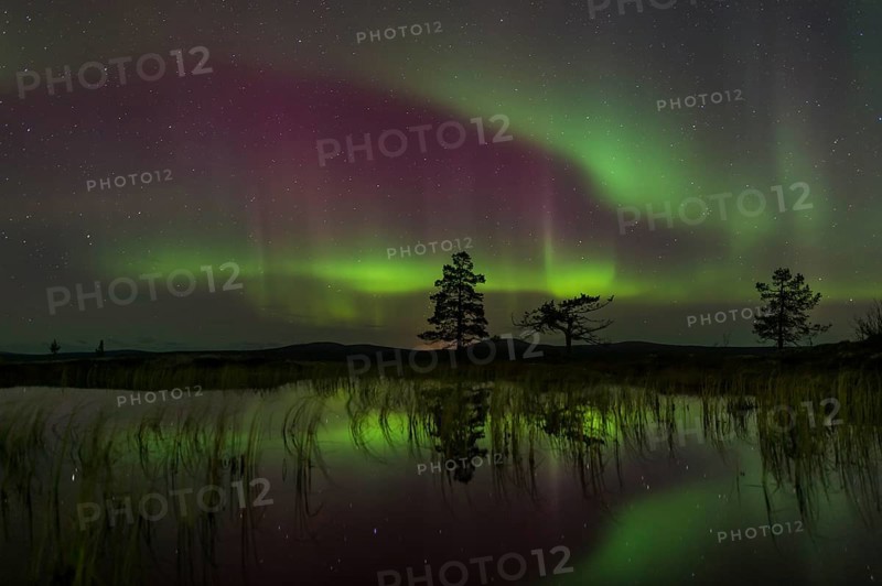 Northern Lights (Aurora borealis) reflected in a mountain lake, Gällivare, Norrbotten, Lapland, Sweden, October 2013, Europe