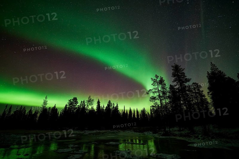 Northern Lights (Aurora borealis), Muddus National Park, Laponia World Heritage Site, Norrbotten, Lapland, Sweden, October 2014, Europe