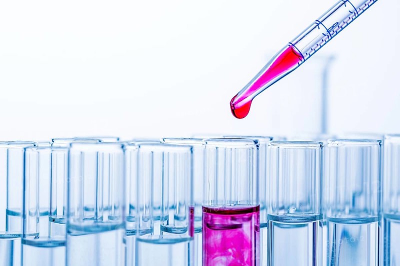 Many test tubes during an experiment in a university research laboratory. Symbolic photo for learning and research. Austria