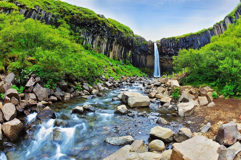 Black basalt columns frame the water jet. Picturesque waterfall Svartifoss in Skaftafell National Park of Iceland