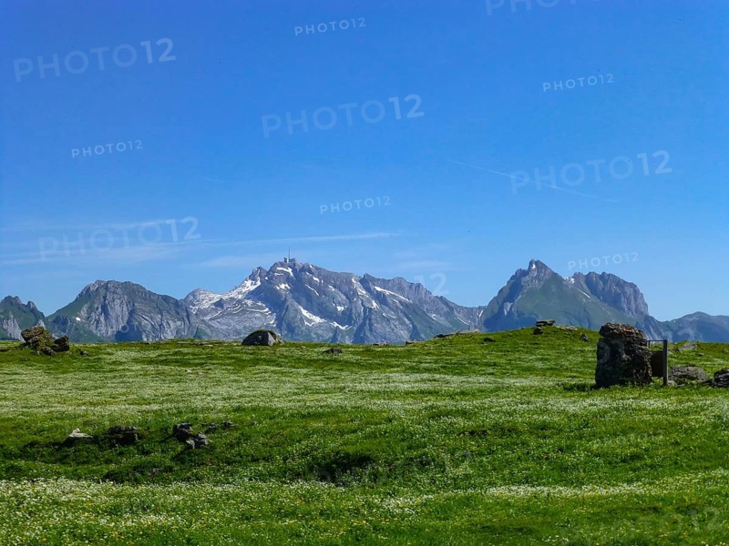 During a hike on Toggenburger Hoehenweg, you'll pass this beautiful meadow with view to Saentis, a famous Swiss mountain