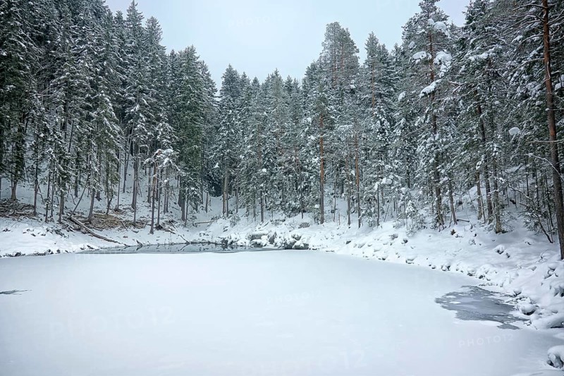An image of the Eibsee at winter