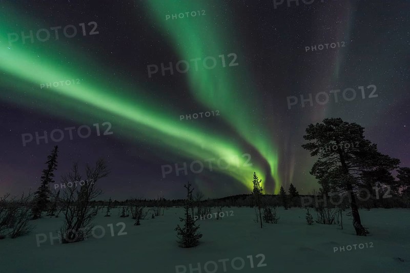 Northern Lights (Aurora borealis), Sjaunja Nature Reserve, Laponia World Heritage Site, Norrbotten, Lapland, Sweden, December 2016, Europe