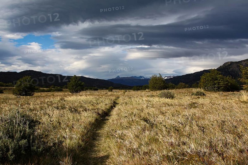 Lonely path through dry grass invites you to hike