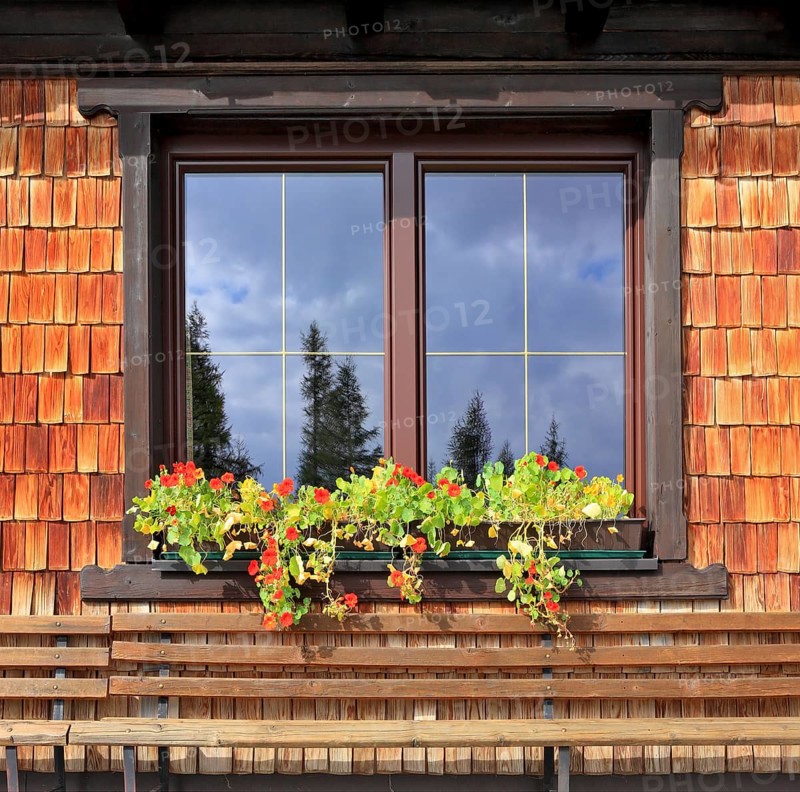 Dachstein huge tourist complex in Austrian Alps. Picturesque popular cafe window with flower pots