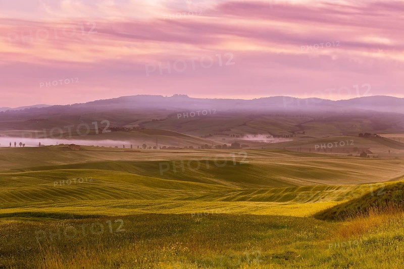Morning fog view on farmland at Valley d Orcia in Tuscany, Italy. Filtered shot