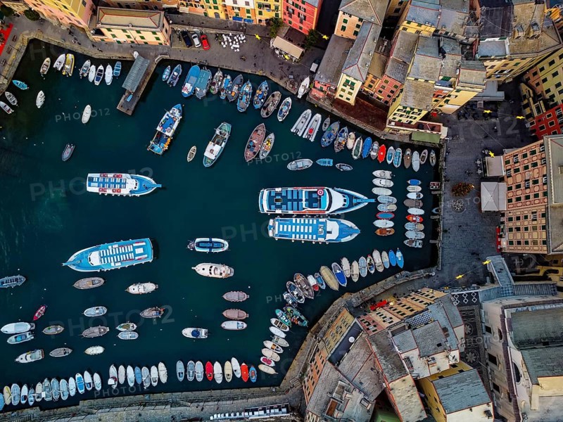 Tourist boat mooring in the harbor of Camogli