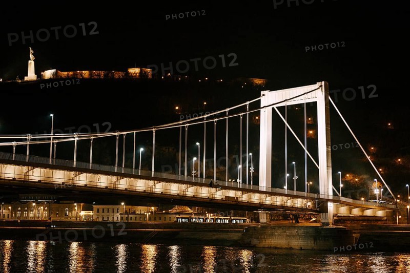 Elizabeth bridge in Budapest close up at night.