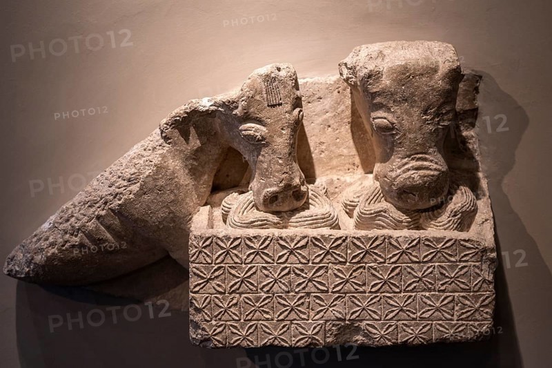 The mule and ox, Romanesque sculpture, 12th century, master Esteban's workshop, origin of the Pamplona cathedral, Museum of Navarra, Pamplona, Navarra, Spain, Europe