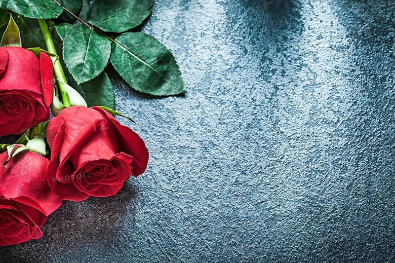 Natural red roses on black background holidays concept