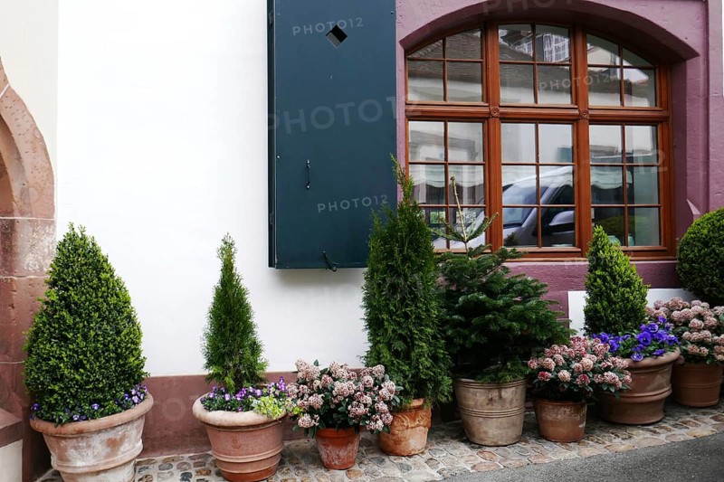Potted flowers under a window, Basel