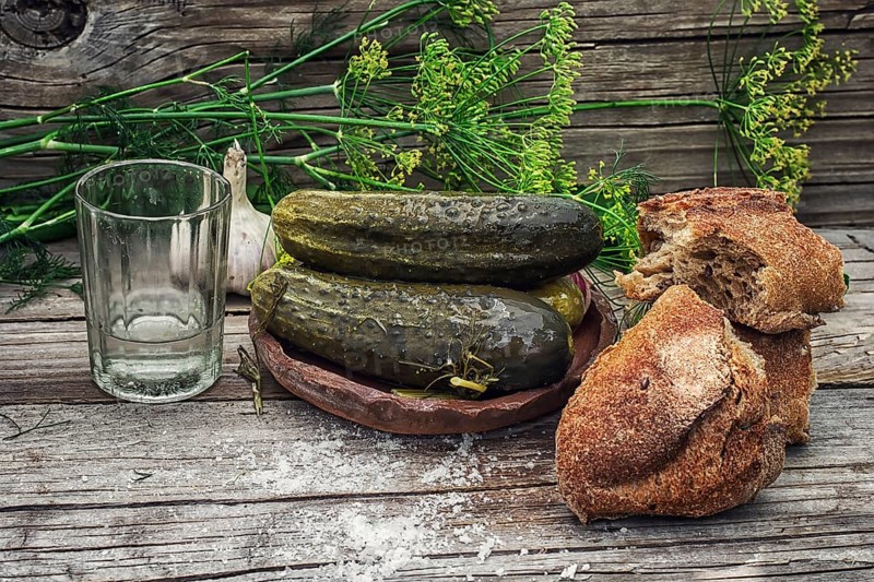Pickled cucumbers with dill and vodka shot glass on wooden background in country style.Photo tinted