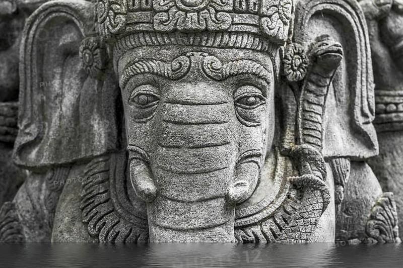 Buddha elephant in the park