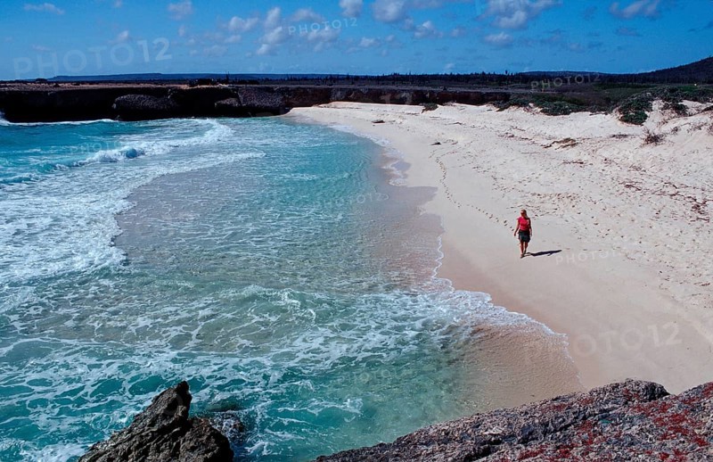 Coast at Playa Chikitu, Netherlands Antilles, Bonaire, Caribbean, Caribbean Sea, Washington Slagbaai National Park, Playa Chikitu