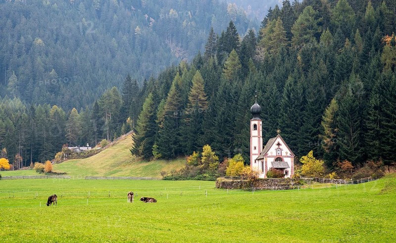 The small and beautiful church of Saint John, Ranui, Chiesetta di san giovanni in Ranui Runes South Tyrol Italy, surrounded by green meadow, forest and Dolomite mountains