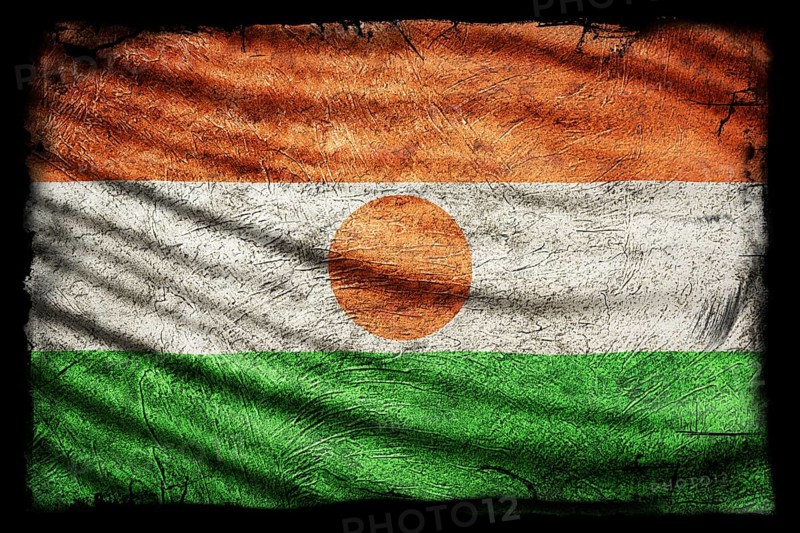 Niger Flag, Grunge Texture Background