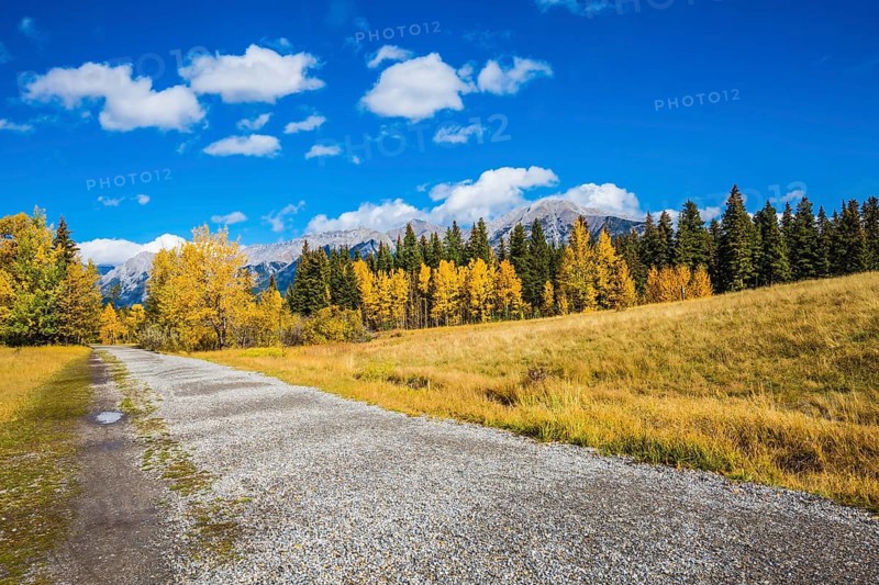 The concept of recreational tourism. Bright shining autumn day in Canmore, near Banff National Park. Walking a dirt trail in the park