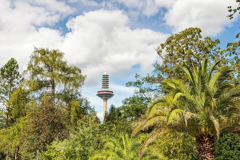 Palmengarten und Europaturm in Frankfurt am Main