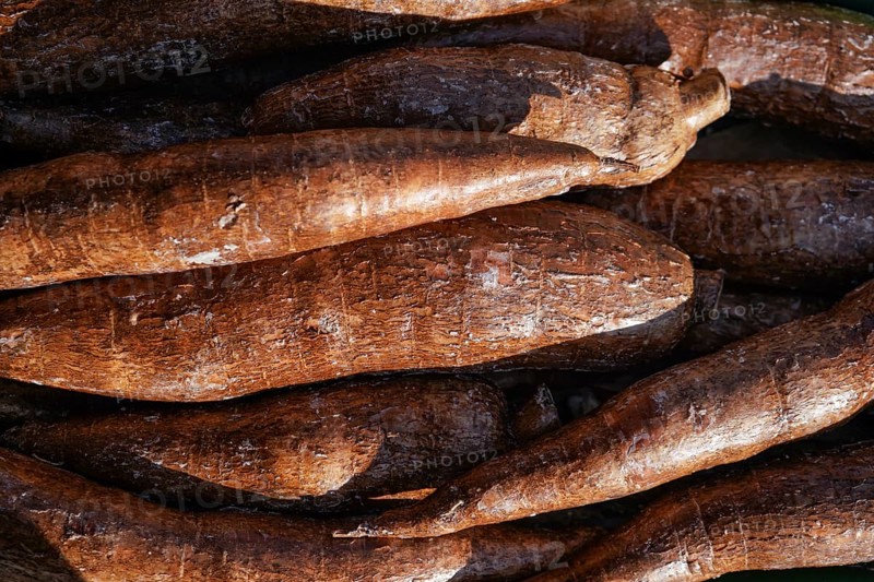 Yuca / Macaxeira (Manihot esculenta) roots displayed at food market in London, sun shines on, London, United Kingdom, Europe