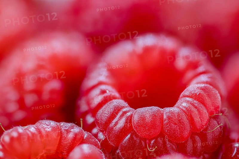Raspberries with shallow depth of field, close-up