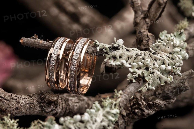 Engagement rings on a dry autumn branch and leaves on a glass background