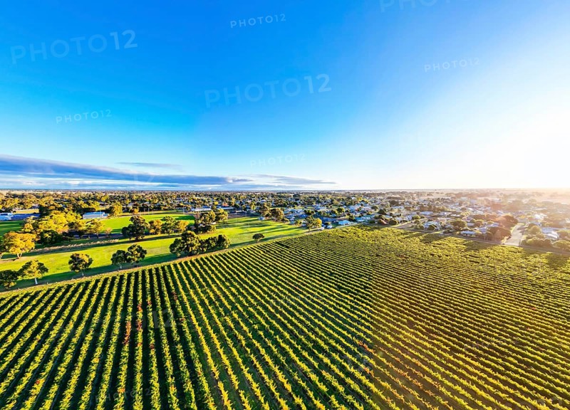 Autumn sunset around the rural country town of Penola in the Coonawarra wine region in South Australia, Australia, Oceania