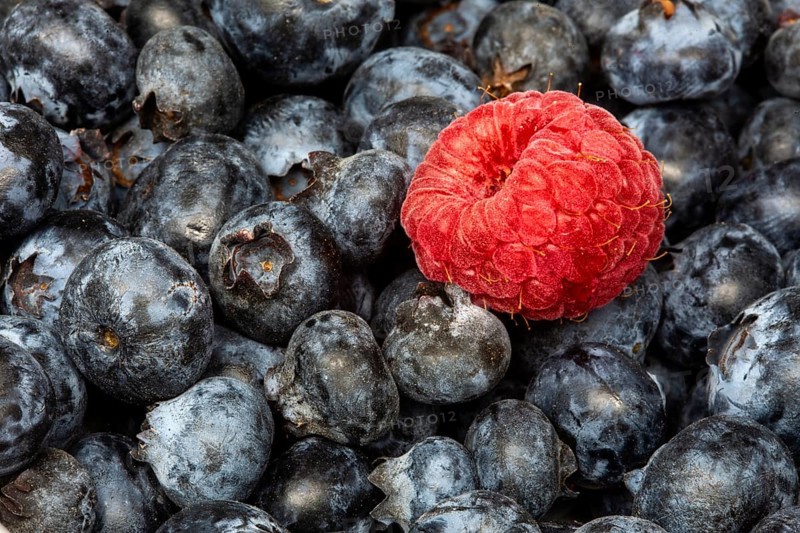 Macro Close Up Fruit Rasberry and blueberry