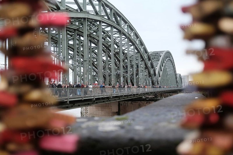 View over the Rhine with a bridge, love locks, blurred foreground, Cologne, Germany, Europe