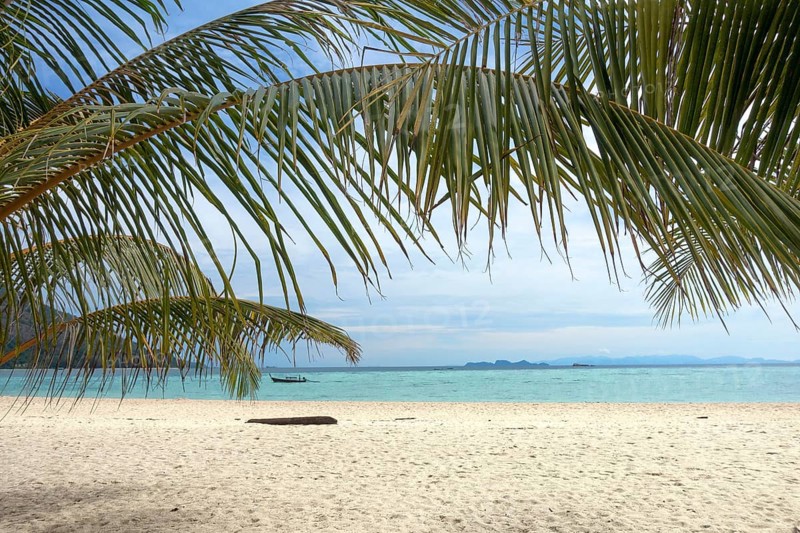 Palm leaves and white sand beach, tropical background