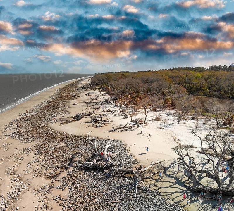 Driftwood Beach in Jekyll Island, Georgia. Aerial view on a spring day