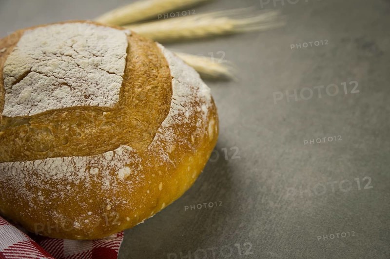 Beautiful Sourdough bread on gray background with dried wheat flower