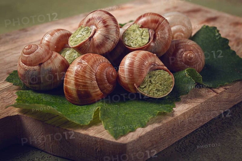 Grape snails stuffed in Burgundy, on a wooden board, French cuisine, no people