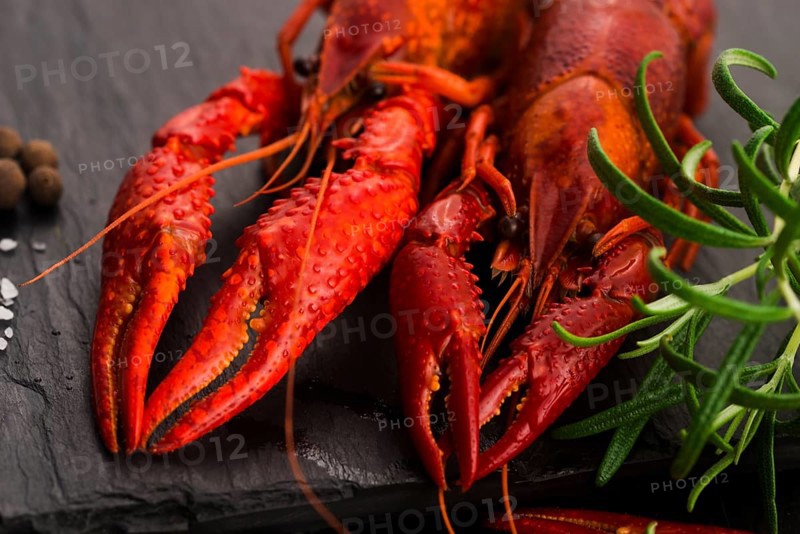 Delicious food. Cancer the river boiled