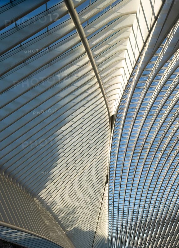 Liège, Liège-Guillemins railway station, design 2009 Santiago Calatrava, station concourse