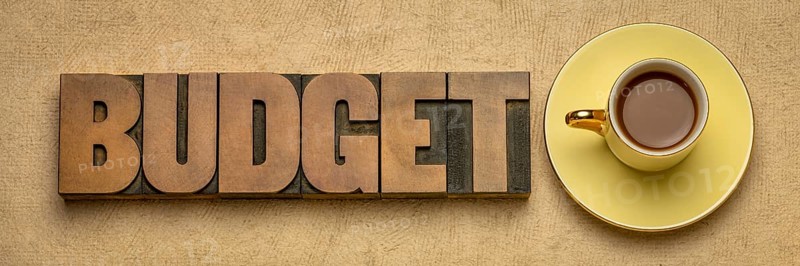 Budget word in vintage letterpress wood type block against textured bark paper with a cup of coffee, business or personal finance concept