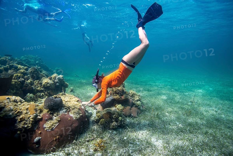 A snorkeler exploring a coral reef under clear blue water, showcasing vibrant marine life, scientific diver, taking a coral tissue sample for research, coral research, coral conservation, hard coral, coral reef, patch reef, Bahamas, Eleuthera, sea grass, Miami University scientific diver, spear fishing for lionfish an invasive species, Central America