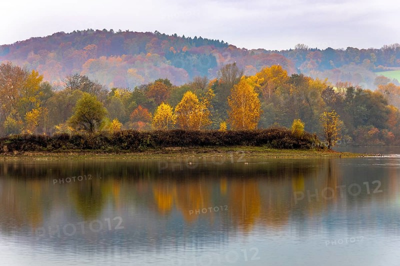 Colourful trees in the morning mist at a small lake in Bavaria in autumn