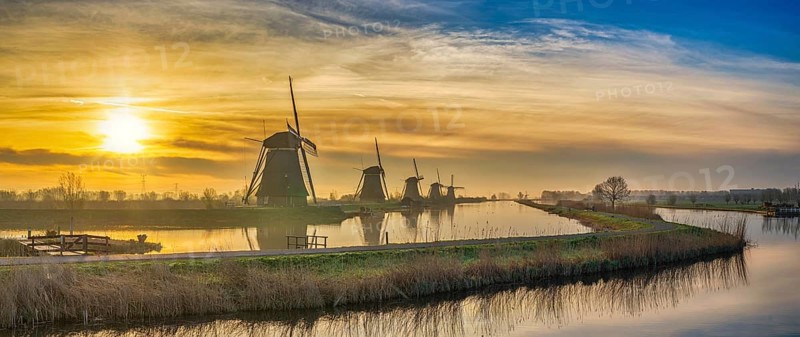 Rotterdam Netherlands, sunrise panorama nature landscape of Dutch Windmill at Kinderdijk Village