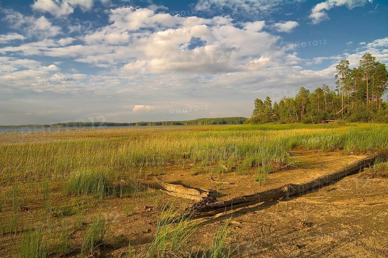Russia, Karelia, the Chirka-Kem river.Bottom of the lake, uncovered because of the falling water level, Europe