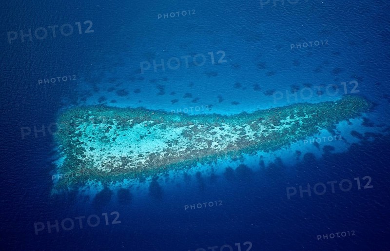 Aerial View of Coral Reefs at Maldives, Aerial View of Coral Reefs at Maldives, land photography, Maldives, Maldives, Indian Ocean, Felidu Atoll, Indian Ocean, aerial photo, aerial photograph, aerial photography, aerial photo, exterior, exterior shot, bird's eye view, from above, flying, flight, island, islands, landscape, scenery, holiday, travel, journey, nature, tourism, holiday destination, long-distance travel, long-distance trip, holiday, sea, coast, lagoon, panorama, view, adventure holiday, dream island, palm island, dream holiday, Idyll, quiet, lonely, paradise, paradisiacal, tropical, Asia, South, Male, North, Meemu, Ari, Atoll, mulaku, felidhu, Felidu, Vaavu, gan, Kaafu, Alifu, Aerial View, aeration, shot, photo, Birds eye perspective, high-angle, flight, air, flying, over, Outdoor, Island, Islands, Palm, Sun, Landscape, holiday, holidays, travel, Nature, Coast, travelling, tourism, vacation, leisure, Ocean, Lagoon, View, Sight, Paradise, paradisal, dream, lonely, calm, rela...