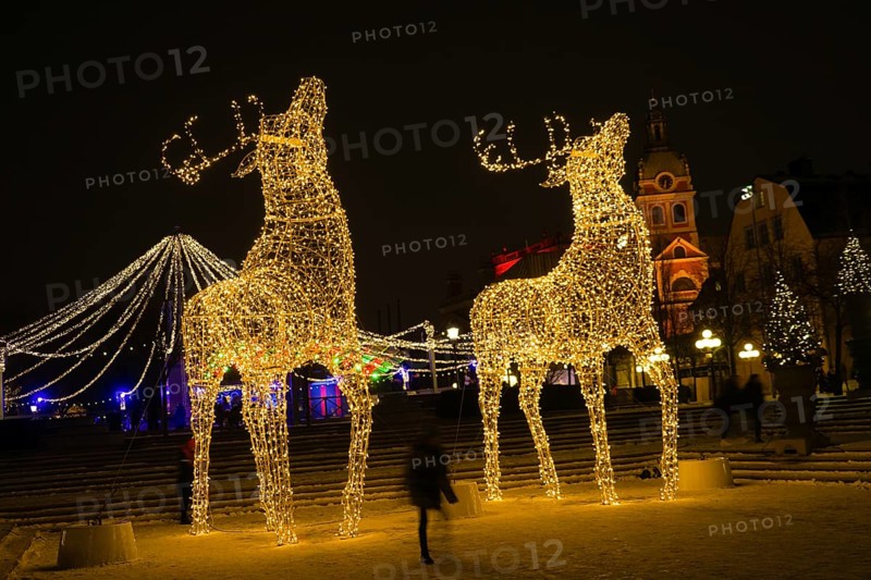 Reindeer of illumination (Stockholm, Sweden). Shooting Location: Sweden, Stockholm