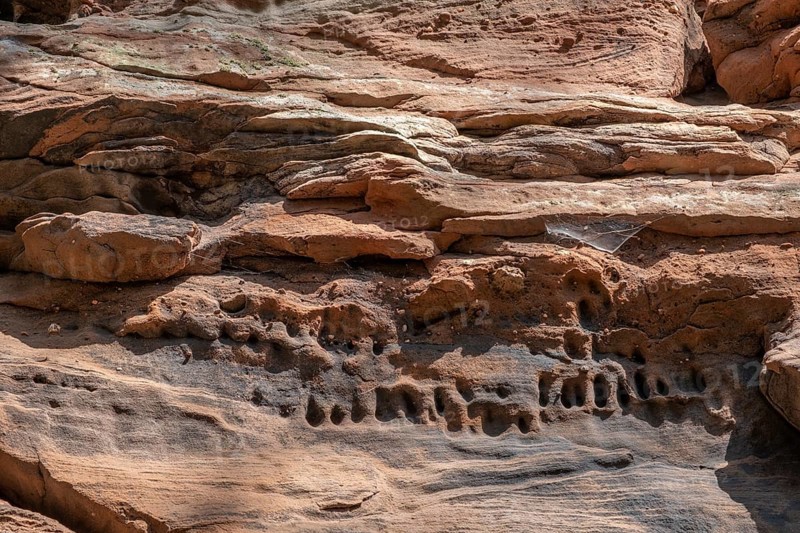 Detail of the Geiersteinfelsen, Geierstein, sandstone, Palatinate Forest, Bruchweiler-Bärenbach, Rhineland-Palatinate, Germany, Europe