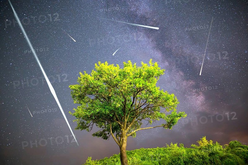 A view of a Meteor Shower and the Milky Way. Green plum tree with plums high in the mountain in the foreground. Night sky nature summer landscape. Perseid Meteor Shower observation