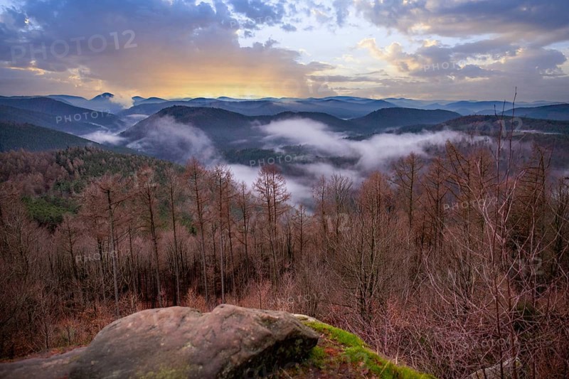 Landscape shot with cloudy sky and fog in the valley. View from a rock in the middle of forest and nature. Viewpoint in the morning in the Palatinate Forest, Germany, Europe